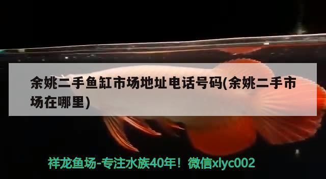 余姚二手魚缸市場地址電話號碼(余姚二手市場在哪里) 祥龍水族醫(yī)院