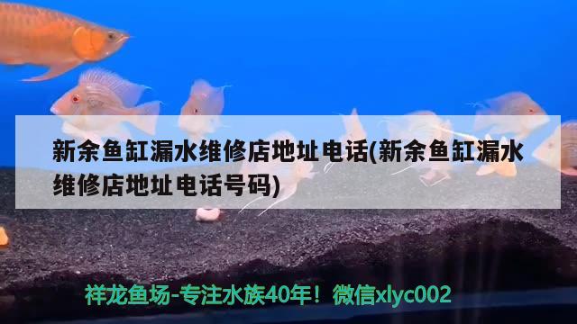 新余魚缸漏水維修店地址電話(新余魚缸漏水維修店地址電話號碼)