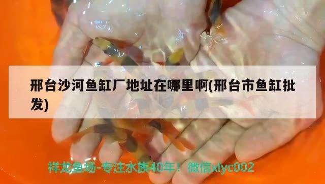 邢臺沙河魚缸廠地址在哪里啊(邢臺市魚缸批發(fā)) 廣州水族批發(fā)市場