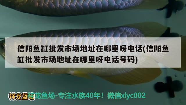 信陽魚缸批發(fā)市場地址在哪里呀電話(信陽魚缸批發(fā)市場地址在哪里呀電話號碼)