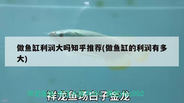 做魚缸利潤(rùn)大嗎知乎推薦(做魚缸的利潤(rùn)有多大) 白寫錦鯉魚