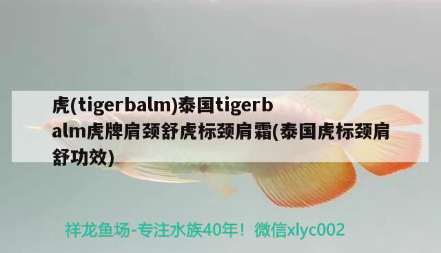 虎(tigerbalm)泰國tigerbalm虎牌肩頸舒虎標頸肩霜(泰國虎標頸肩舒功效) 觀賞魚