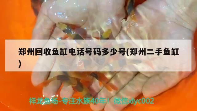 鄭州回收魚缸電話號碼多少號(鄭州二手魚缸)