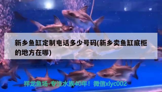 新鄉(xiāng)魚缸定制電話多少號碼(新鄉(xiāng)賣魚缸底柜的地方在哪)