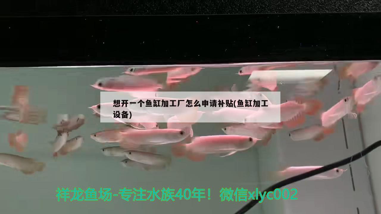 想開一個(gè)魚缸加工廠怎么申請(qǐng)補(bǔ)貼(魚缸加工設(shè)備) 除藻劑