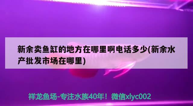 新余賣魚缸的地方在哪里啊電話多少(新余水產(chǎn)批發(fā)市場在哪里) 申古三間魚