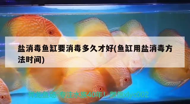 鹽消毒魚(yú)缸要消毒多久才好(魚(yú)缸用鹽消毒方法時(shí)間)