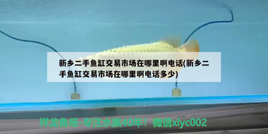 新鄉(xiāng)二手魚缸交易市場(chǎng)在哪里啊電話(新鄉(xiāng)二手魚缸交易市場(chǎng)在哪里啊電話多少)