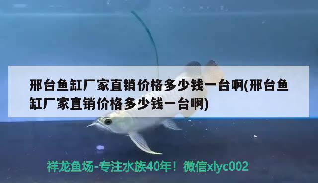 邢臺魚缸廠家直銷價格多少錢一臺啊(邢臺魚缸廠家直銷價格多少錢一臺啊)