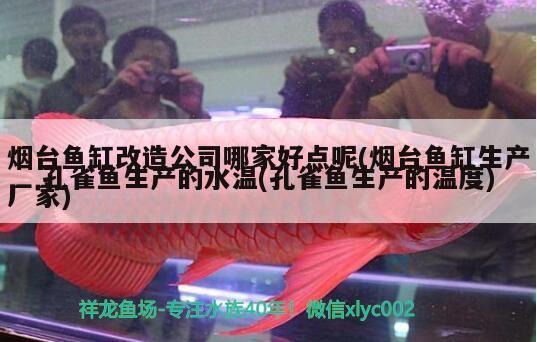 煙臺魚缸改造公司哪家好點呢(煙臺魚缸生產(chǎn)廠家)