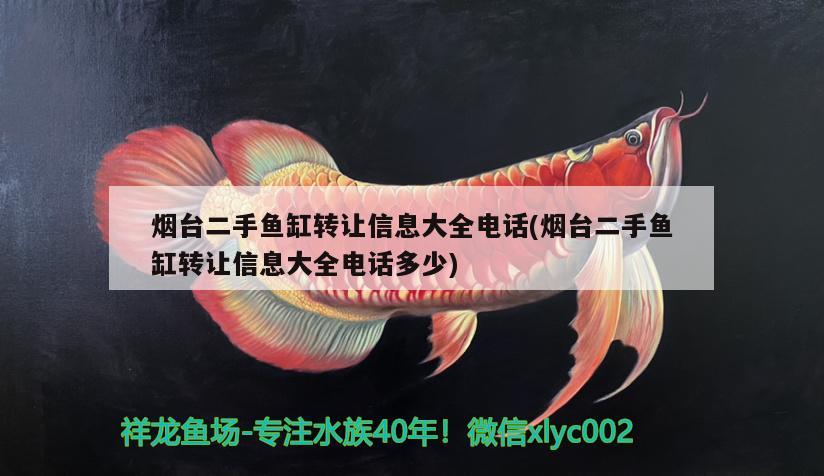 煙臺二手魚缸轉(zhuǎn)讓信息大全電話(煙臺二手魚缸轉(zhuǎn)讓信息大全電話多少)