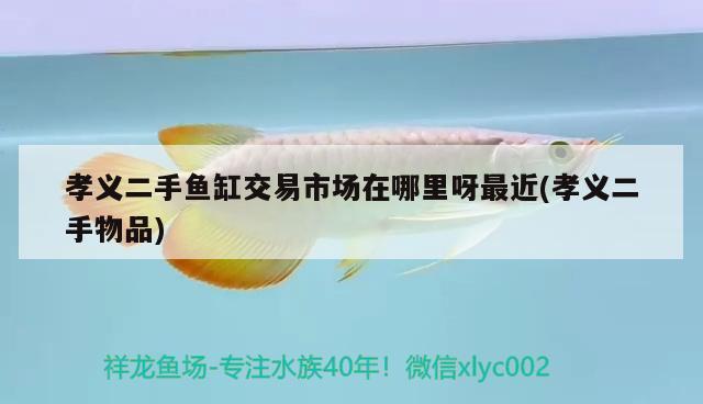 孝義二手魚缸交易市場在哪里呀最近(孝義二手物品) 稀有金龍魚