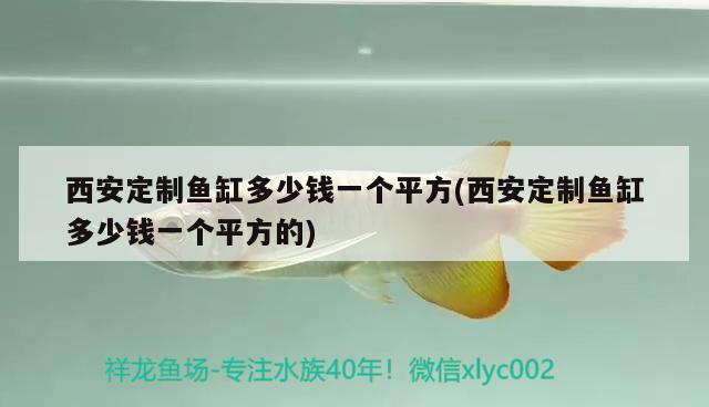 西安定制魚缸多少錢一個(gè)平方(西安定制魚缸多少錢一個(gè)平方的) 魚缸定做