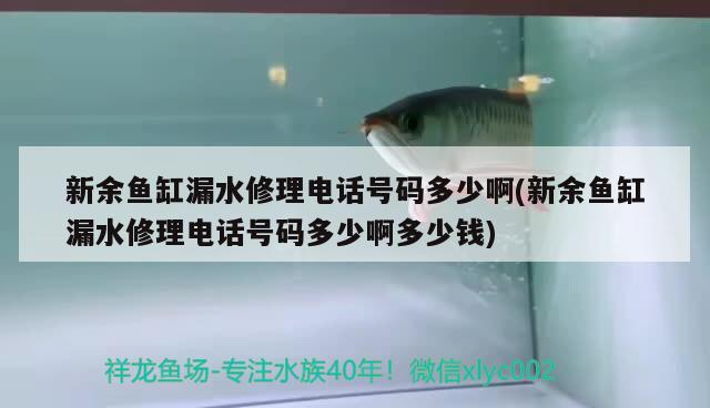 新余魚缸漏水修理電話號碼多少啊(新余魚缸漏水修理電話號碼多少啊多少錢) 養(yǎng)魚知識