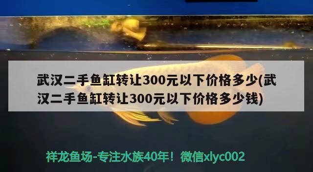 武漢二手魚缸轉(zhuǎn)讓300元以下價格多少(武漢二手魚缸轉(zhuǎn)讓300元以下價格多少錢)