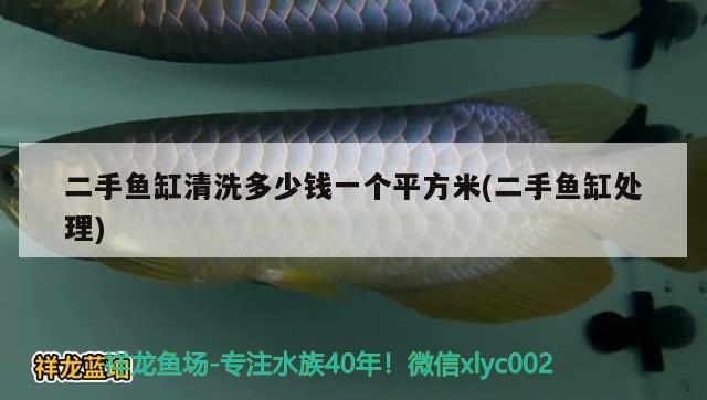 二手魚缸清洗多少錢一個(gè)平方米(二手魚缸處理) 黃寬帶蝴蝶魚