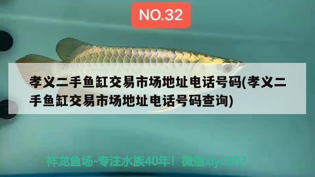 孝義二手魚缸交易市場地址電話號碼(孝義二手魚缸交易市場地址電話號碼查詢) 沖氧泵