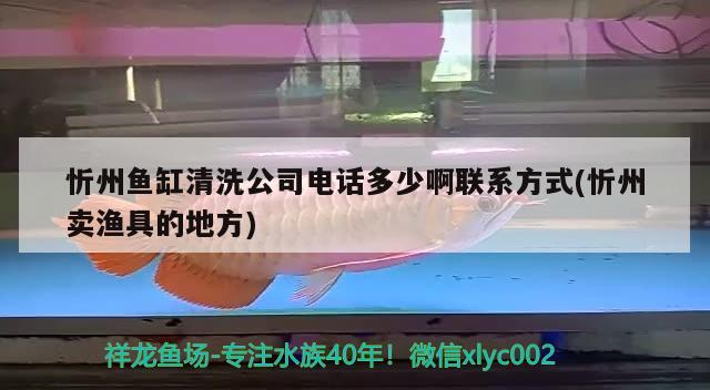 忻州魚缸清洗公司電話多少啊聯(lián)系方式(忻州賣漁具的地方) 帝王血鉆魚