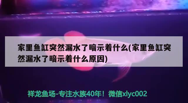 家里魚缸突然漏水了暗示著什么(家里魚缸突然漏水了暗示著什么原因)