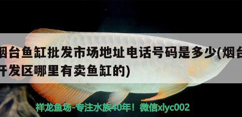 煙臺魚缸批發(fā)市場地址電話號碼是多少(煙臺開發(fā)區(qū)哪里有賣魚缸的)