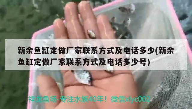 新余魚缸定做廠家聯(lián)系方式及電話多少(新余魚缸定做廠家聯(lián)系方式及電話多少號) 慈雕魚