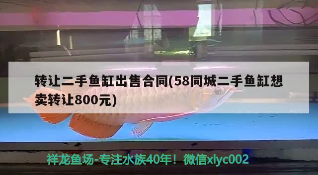 轉(zhuǎn)讓二手魚缸出售合同(58同城二手魚缸想賣轉(zhuǎn)讓800元)