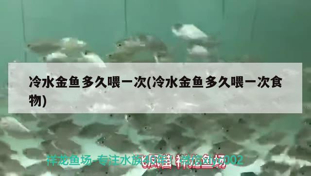 冷水金魚多久喂一次(冷水金魚多久喂一次食物) 觀賞魚