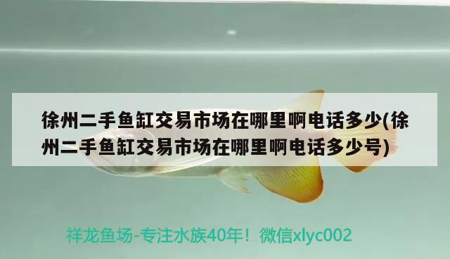 徐州二手魚缸交易市場在哪里啊電話多少(徐州二手魚缸交易市場在哪里啊電話多少號)