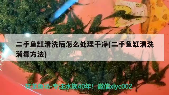 二手魚缸清洗后怎么處理干凈(二手魚缸清洗消毒方法)