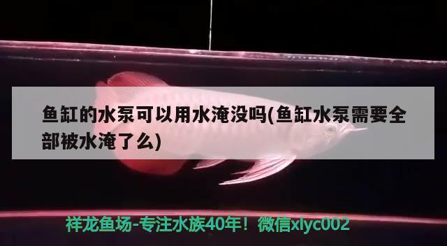 魚缸的水泵可以用水淹沒嗎(魚缸水泵需要全部被水淹了么) 魚缸水泵