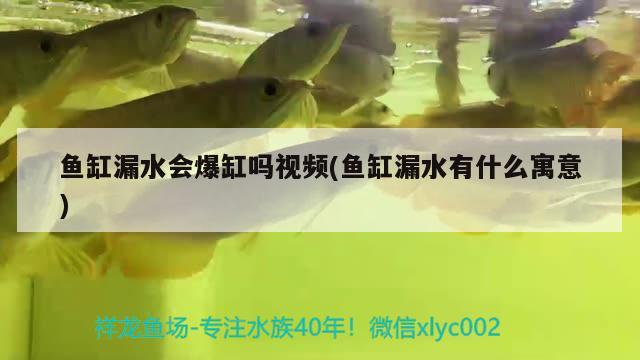 魚缸漏水會爆缸嗎視頻(魚缸漏水有什么寓意)