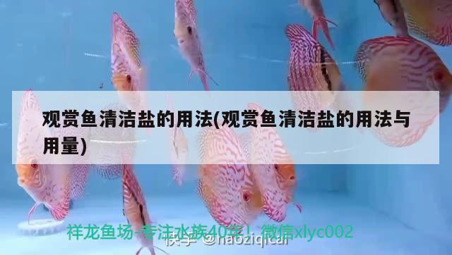 觀賞魚(yú)清潔鹽的用法(觀賞魚(yú)清潔鹽的用法與用量)