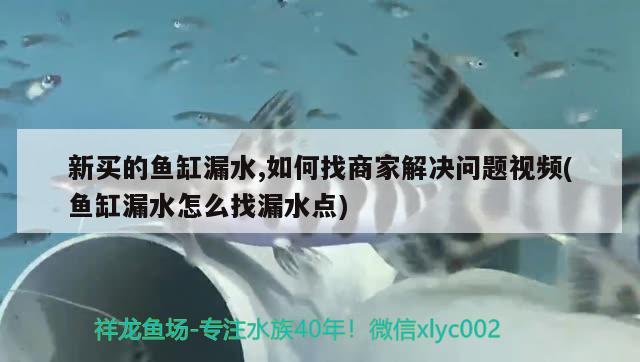 新買的魚缸漏水,如何找商家解決問題視頻(魚缸漏水怎么找漏水點(diǎn))