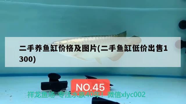 二手養(yǎng)魚缸價(jià)格及圖片(二手魚缸低價(jià)出售1300)