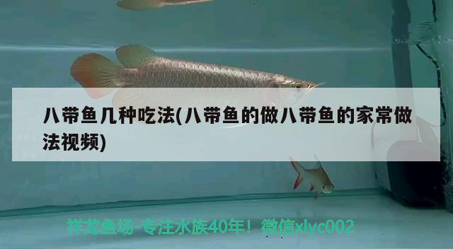 八帶魚幾種吃法(八帶魚的做八帶魚的家常做法視頻) 觀賞魚