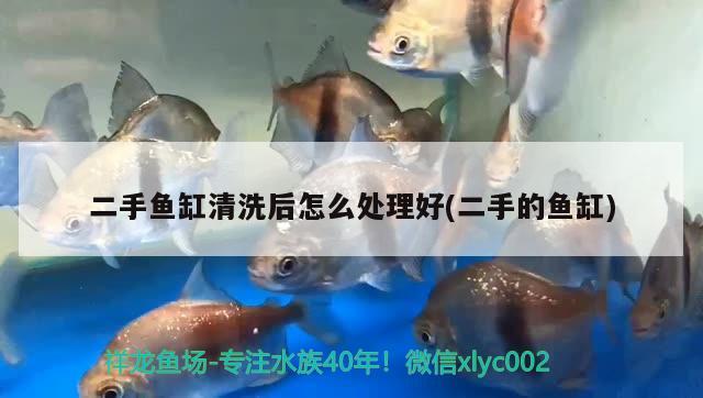 二手魚缸清洗后怎么處理好(二手的魚缸) 祥龍赫舞紅龍魚