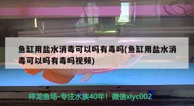 魚缸用鹽水消毒可以嗎有毒嗎(魚缸用鹽水消毒可以嗎有毒嗎視頻)