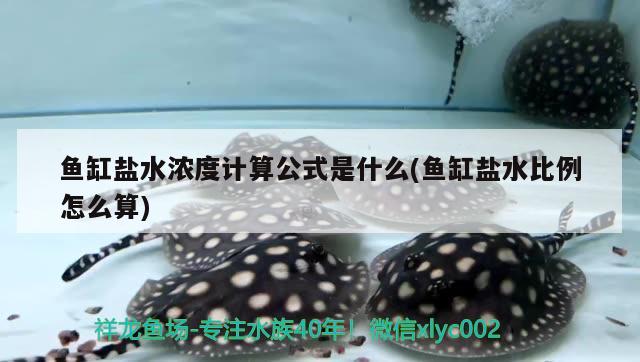 魚(yú)缸鹽水濃度計(jì)算公式是什么(魚(yú)缸鹽水比例怎么算)