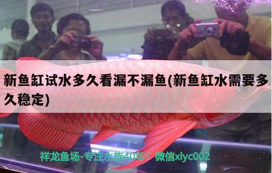 新魚缸試水多久看漏不漏魚(新魚缸水需要多久穩(wěn)定)