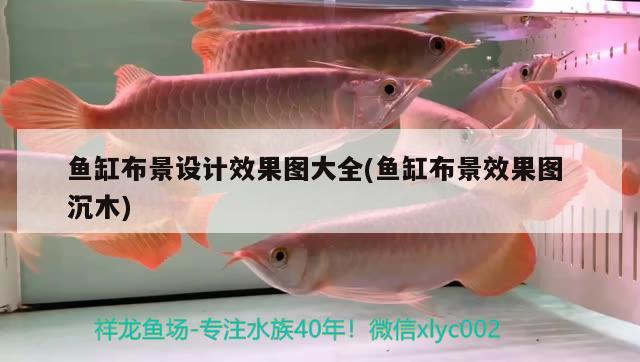 魚缸布景設(shè)計(jì)效果圖大全(魚缸布景效果圖沉木)