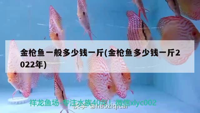 金槍魚一般多少錢一斤(金槍魚多少錢一斤2022年)