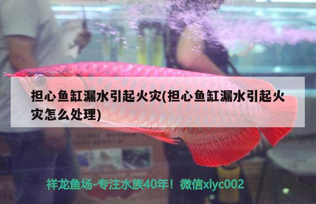 擔心魚缸漏水引起火災(擔心魚缸漏水引起火災怎么處理)