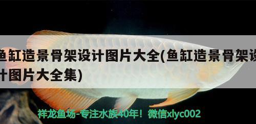 魚缸造景骨架設(shè)計圖片大全(魚缸造景骨架設(shè)計圖片大全集)