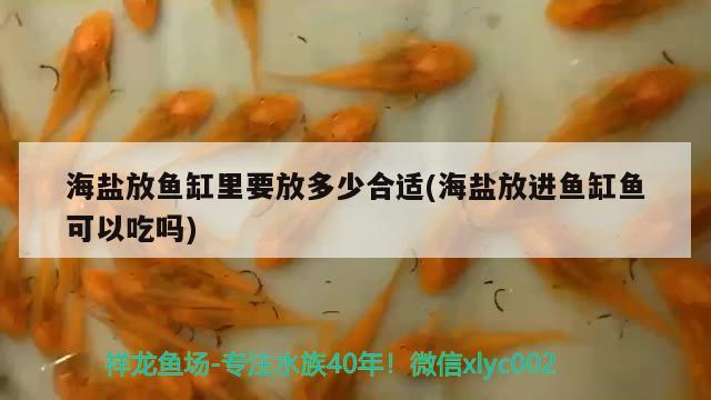 海鹽放魚缸里要放多少合適(海鹽放進(jìn)魚缸魚可以吃嗎) 黃金招財(cái)貓魚