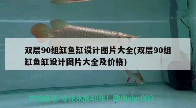 雙層90組缸魚缸設計圖片大全(雙層90組缸魚缸設計圖片大全及價格) 月光鴨嘴魚苗 第2張