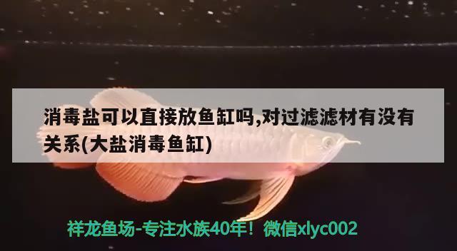 消毒鹽可以直接放魚缸嗎,對過濾濾材有沒有關系(大鹽消毒魚缸) 錦鯉池魚池建設