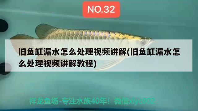 舊魚缸漏水怎么處理視頻講解(舊魚缸漏水怎么處理視頻講解教程)