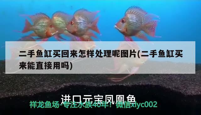 二手魚(yú)缸買(mǎi)回來(lái)怎樣處理呢圖片(二手魚(yú)缸買(mǎi)來(lái)能直接用嗎)