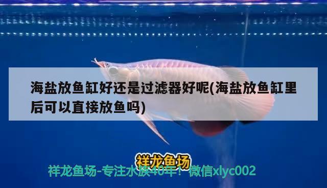 海鹽放魚缸好還是過濾器好呢(海鹽放魚缸里后可以直接放魚嗎)