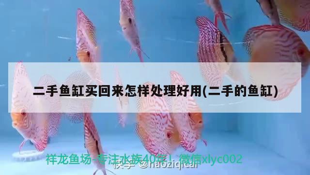 二手魚缸買回來怎樣處理好用(二手的魚缸) 黑白雙星